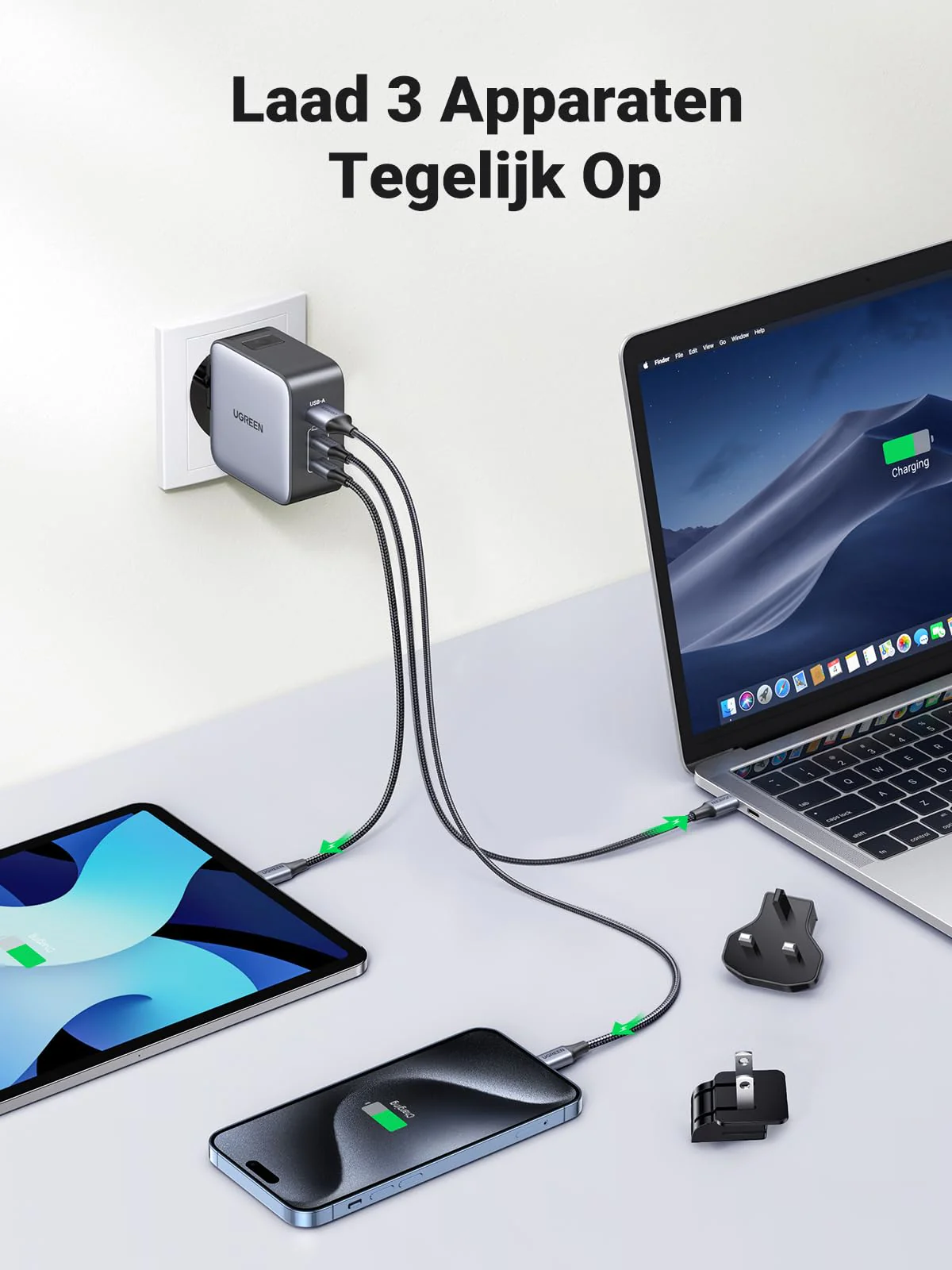 Miniatuur 3